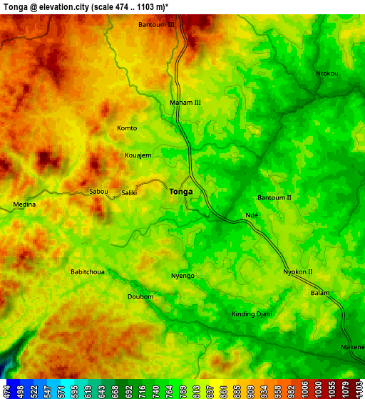 Zoom OUT 2x Tonga, Cameroon elevation map
