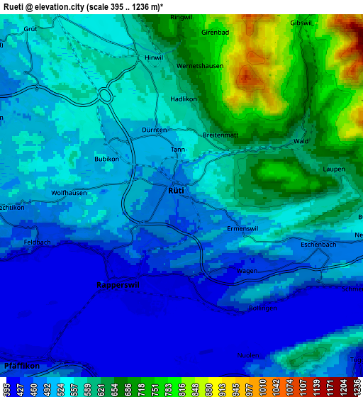 Zoom OUT 2x Rüti, Switzerland elevation map