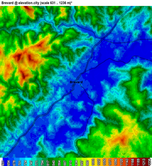 Zoom OUT 2x Brevard, United States elevation map