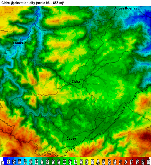 Zoom OUT 2x Cidra, Puerto Rico elevation map