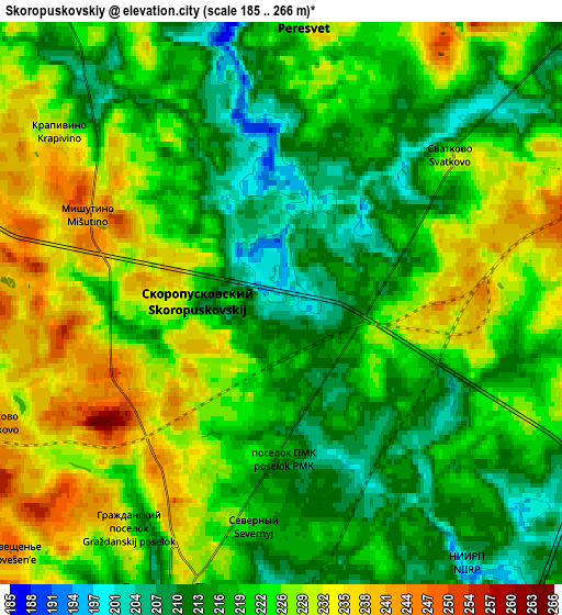 Zoom OUT 2x Skoropuskovskiy, Russia elevation map