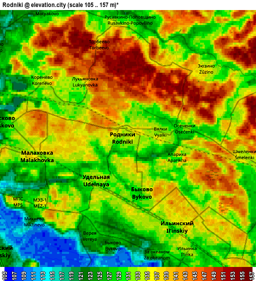 Zoom OUT 2x Rodniki, Russia elevation map