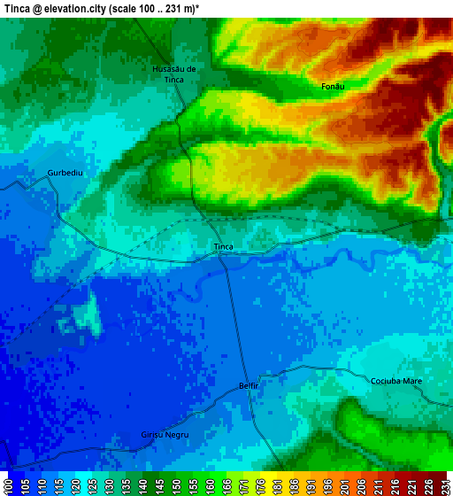 Zoom OUT 2x Tinca, Romania elevation map