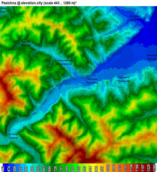 Zoom OUT 2x Pasichna, Ukraine elevation map