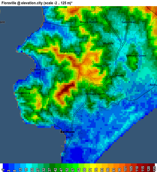 Floraville elevation map