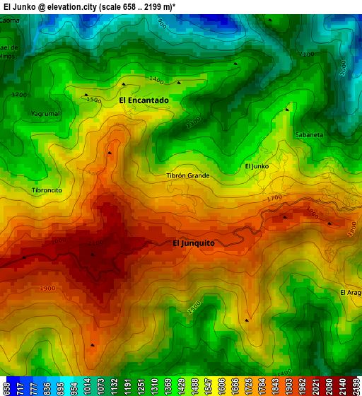 El Junko elevation map