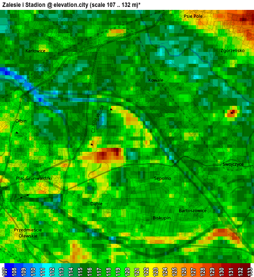 Zalesie i Stadion elevation map