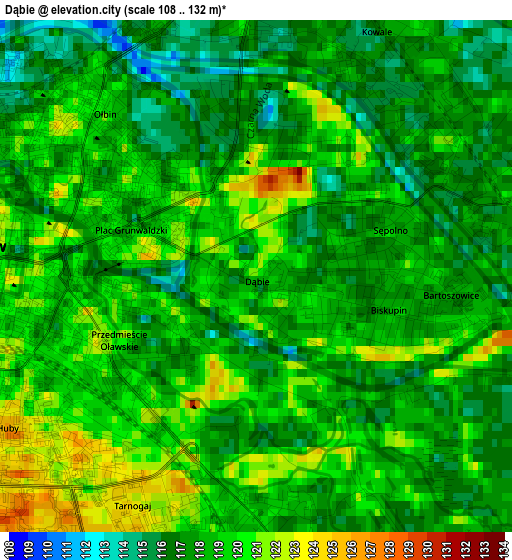 Dąbie elevation map