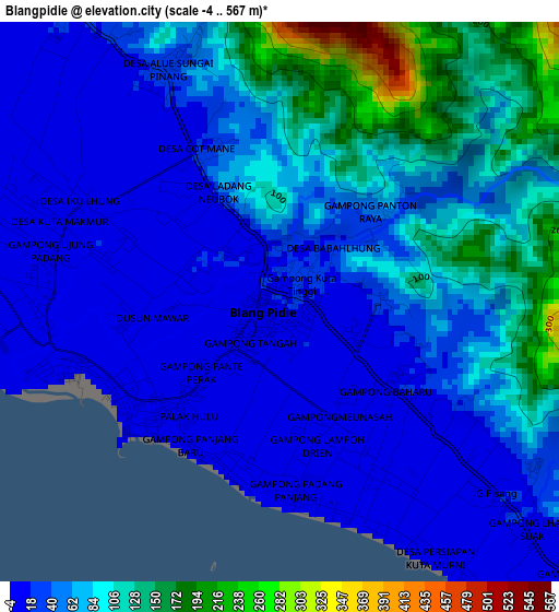 Blangpidie elevation map