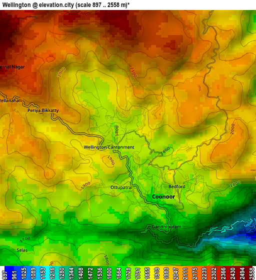 Wellington elevation map