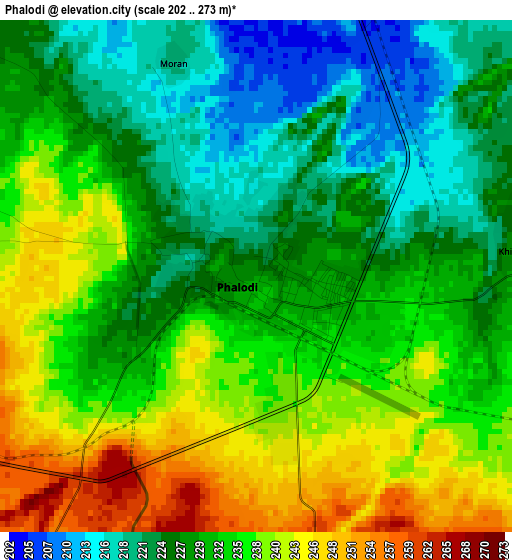 Phalodi elevation map