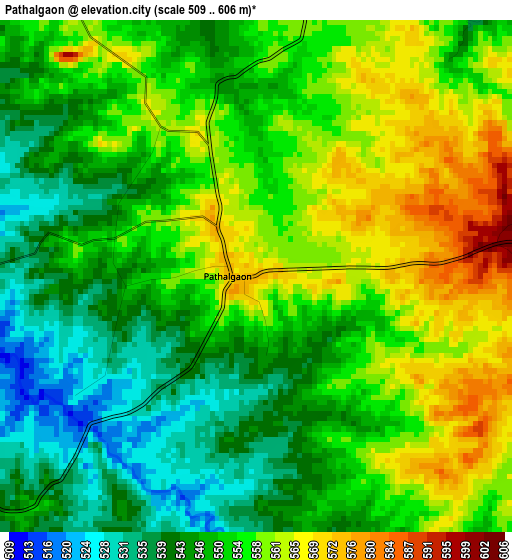 Pathalgaon elevation map