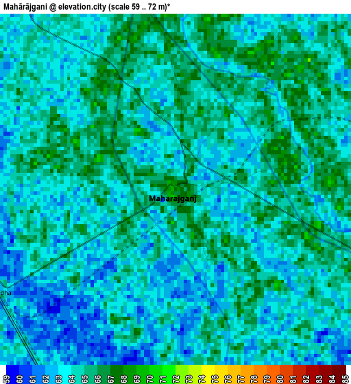 Mahārājgani elevation map