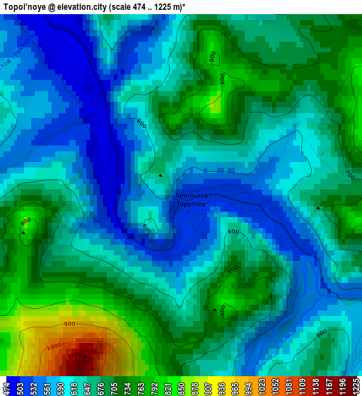 Topol’noye elevation map