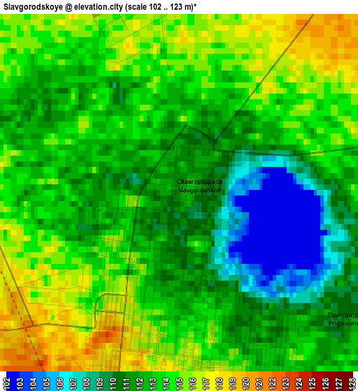 Slavgorodskoye elevation map