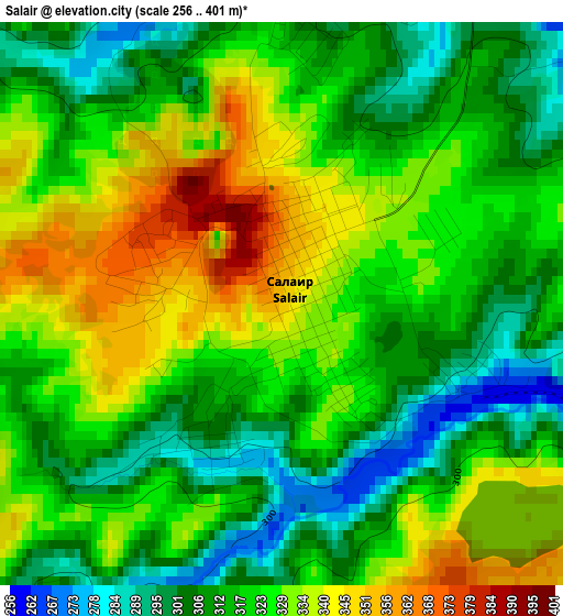 Salair elevation map