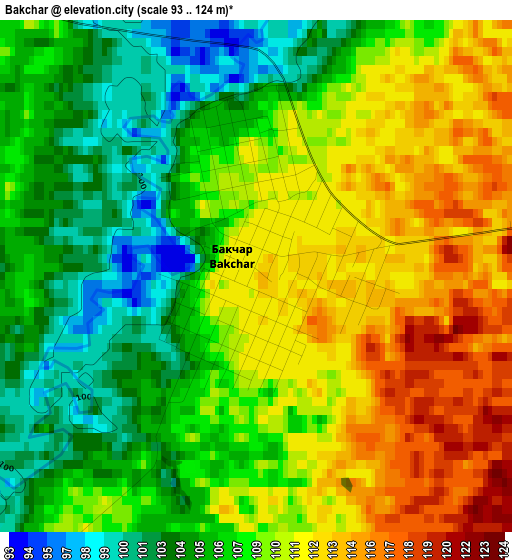 Bakchar elevation map