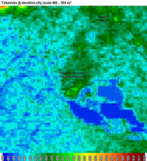 Tokarevka elevation map