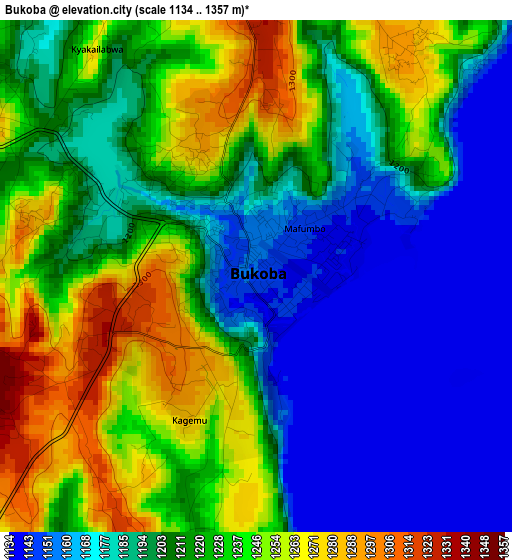 Bukoba elevation map