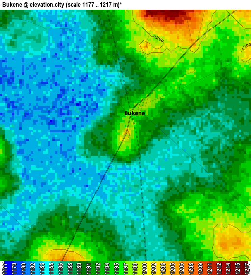 Bukene elevation map