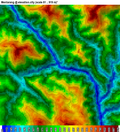 Mentarang elevation map