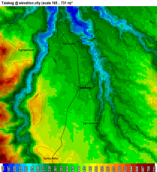 Talakag elevation map