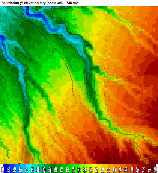 Salimbalan elevation map