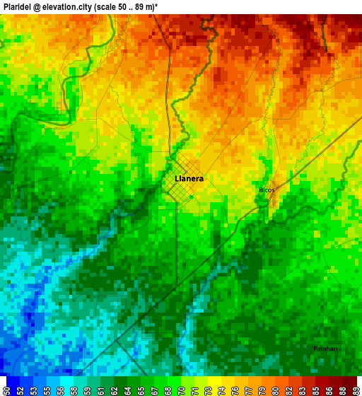 Plaridel elevation map