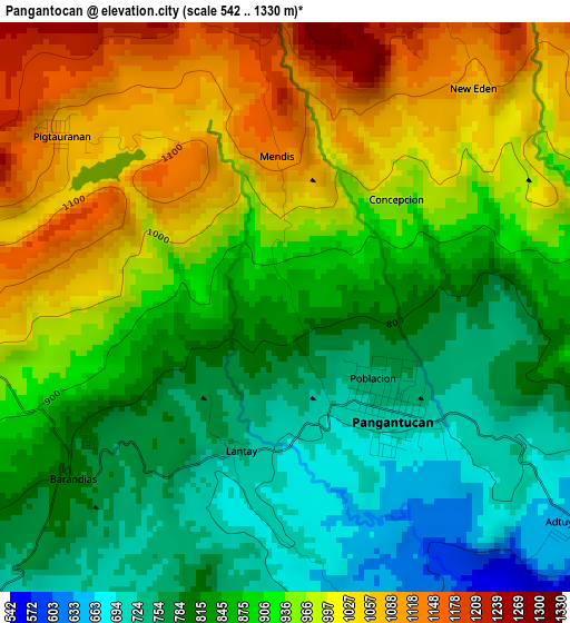 Pangantocan elevation map