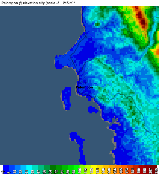 Palompon elevation map