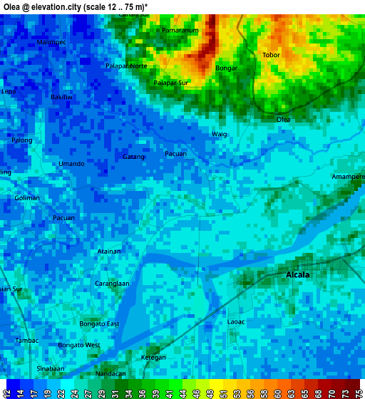 Olea elevation map