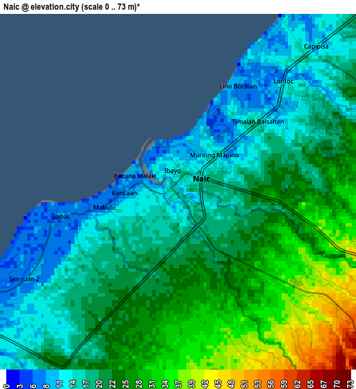 Naic elevation map