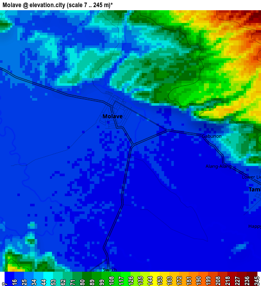 Molave elevation map