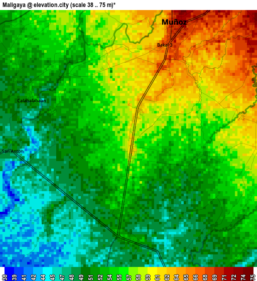 Maligaya elevation map