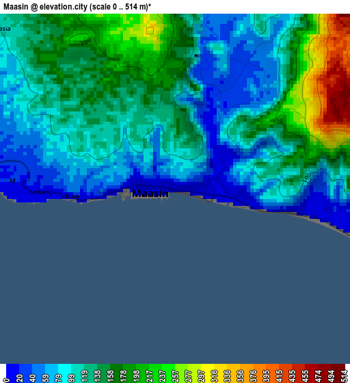 Maasin elevation map