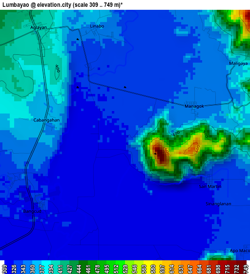 Lumbayao elevation map