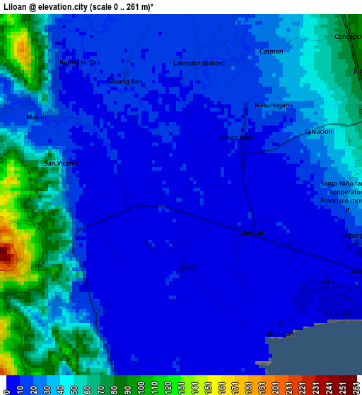 Liloan elevation map
