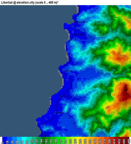 Libertad elevation map