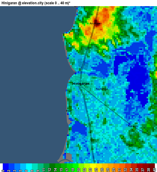 Hinigaran elevation map