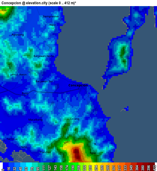 Concepcion elevation map