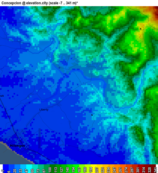 Concepcion elevation map