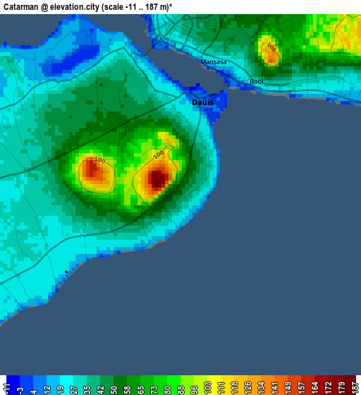 Catarman elevation map