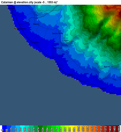 Catarman elevation map