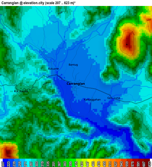 Carranglan elevation map