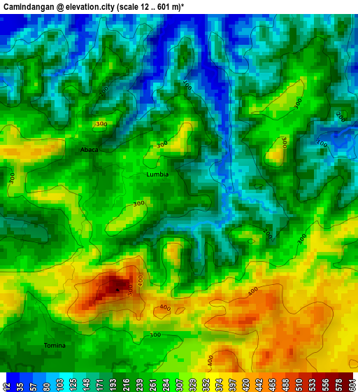 Camindangan elevation map