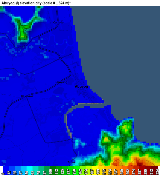 Abuyog elevation map