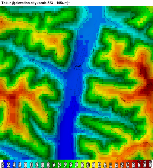 Tokur elevation map