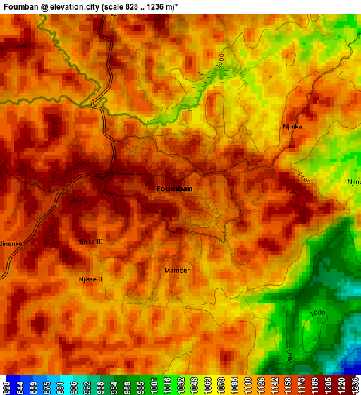 Foumban elevation map