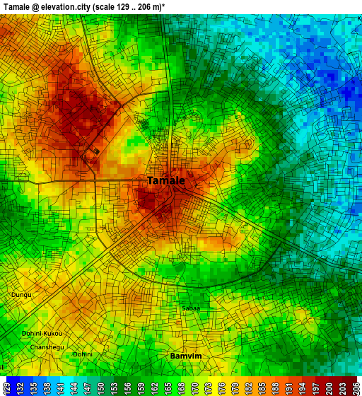 Tamale elevation map