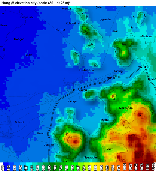 Hong elevation map